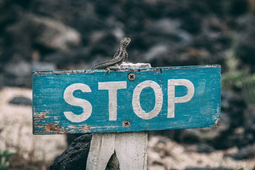 STOP! Read This Before Opening A Nonprofit!